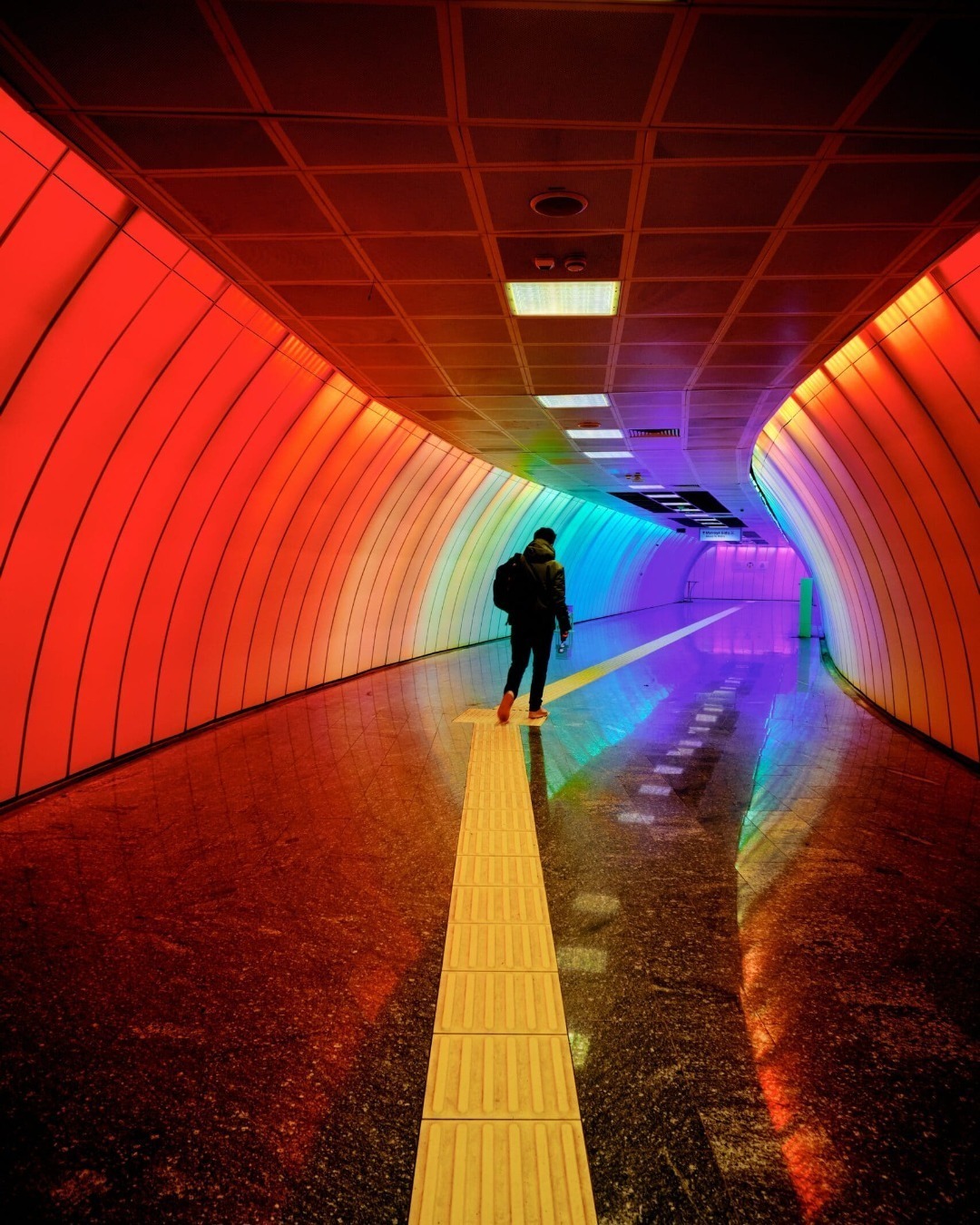 signify lighting case viima